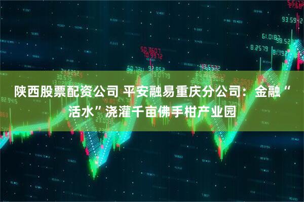 陕西股票配资公司 平安融易重庆分公司：金融“活水”浇灌千亩佛手柑产业园
