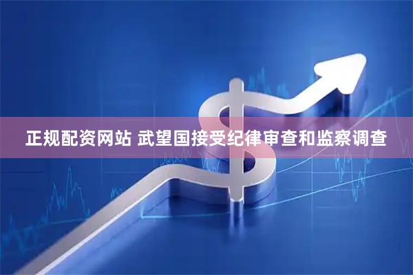正规配资网站 武望国接受纪律审查和监察调查