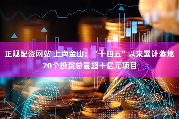 正规配资网站 上海金山：“十四五”以来累计落地20个投资总量超十亿元项目