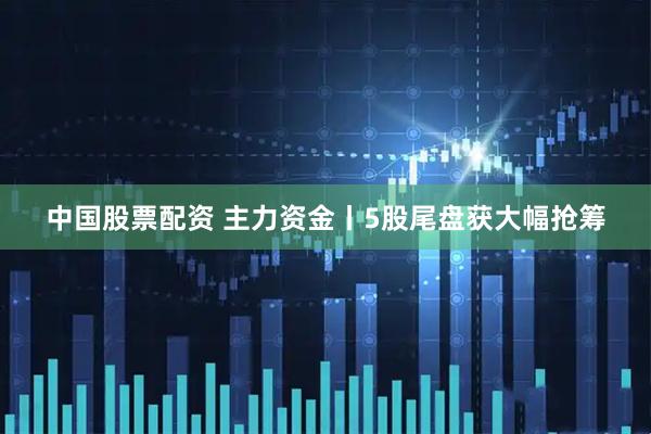 中国股票配资 主力资金丨5股尾盘获大幅抢筹