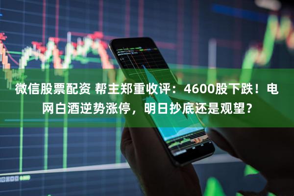 微信股票配资 帮主郑重收评：4600股下跌！电网白酒逆势涨停，明日抄底还是观望？