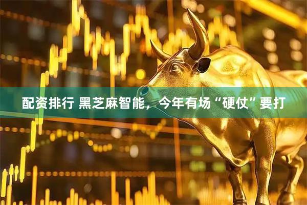 配资排行 黑芝麻智能，今年有场“硬仗”要打